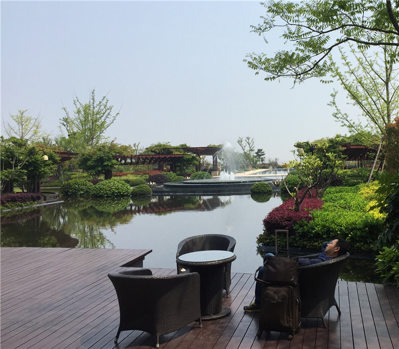 2 春梦了无痕（应芬芬）.jpg